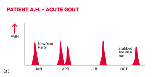 Patient - acute gout graph.