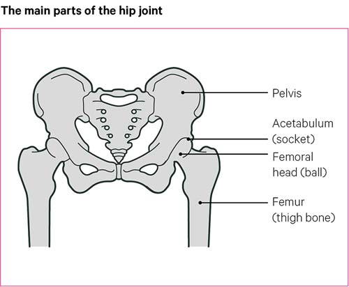How To Sleep After Hip Replacement - EquipMeOT
