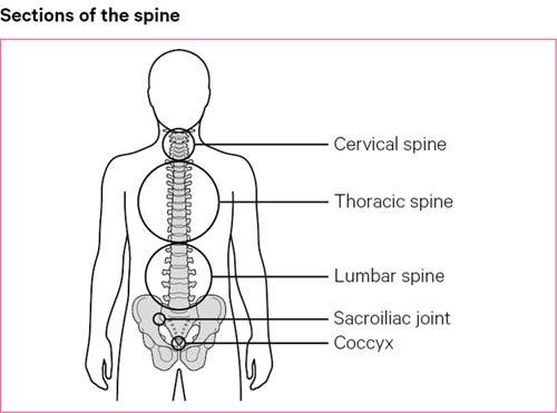 Knee and Leg Pain: Is this due to Back problems? Spinal Backrack