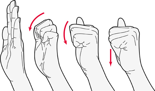 Exercises for the fingers hands and wrists Versus Arthritis