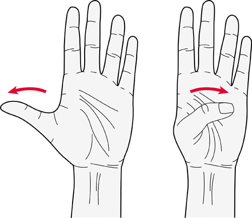 Hand Therapy  Hook Fist 