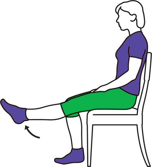 Exercises for the knees