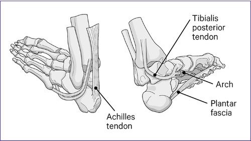 Bottom of left heel on sale pain