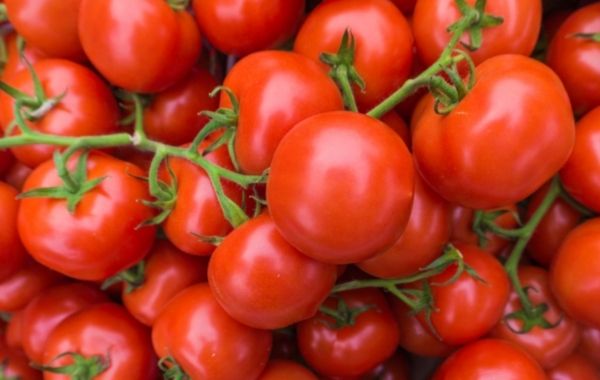 Are Tomatoes Bad For Arthritis 