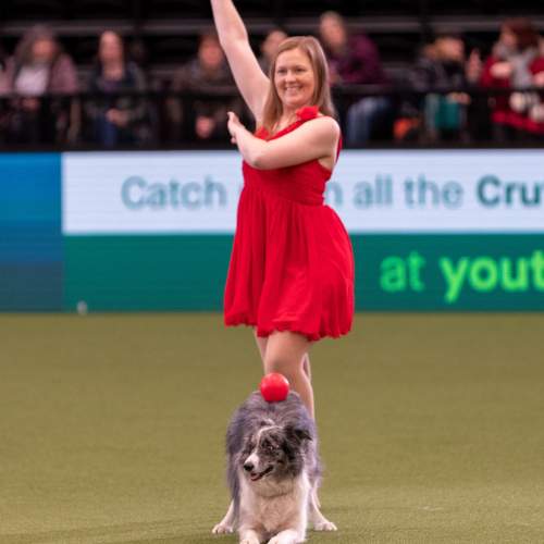 Crufts store dancing dogs