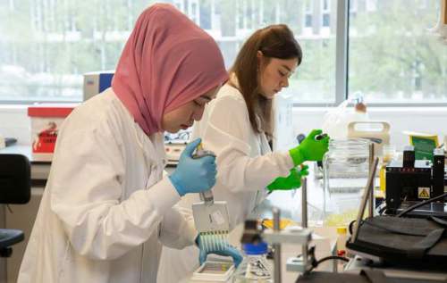 Two researchers in a lab