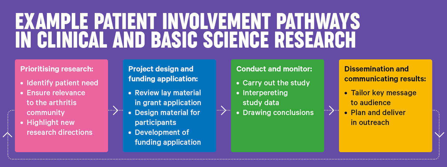 Research Cycle Example Pathways