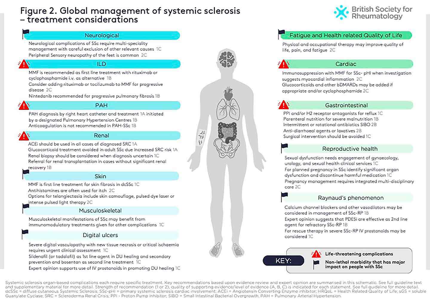 Guideline-figures-Ssc-Scleroderma